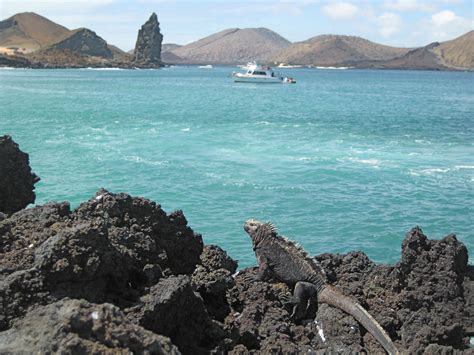 Keeping Kosher in Galápagos Islands, Ecuador | YeahThatsKosher.com ...