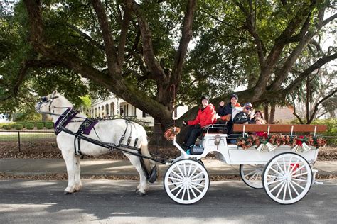 Horse Drawn Carriage Rides | ChristmasVille