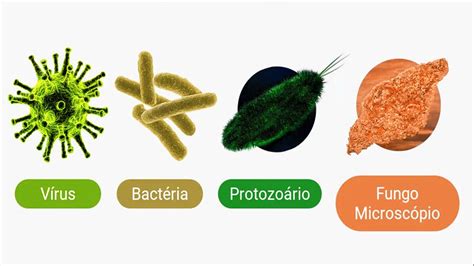 Microrganismos micróbios patogénicos RTP Ensina