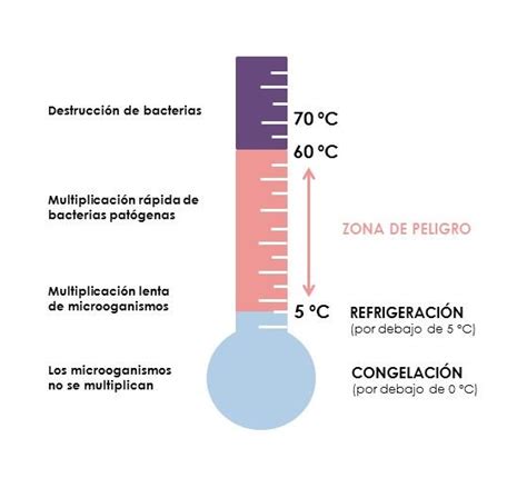 Descubre La Temperatura Ideal Para La Multiplicaci N Acelerada De