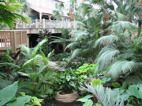 Gaylord Palms - Everglades Atrium Interior - ZooChat