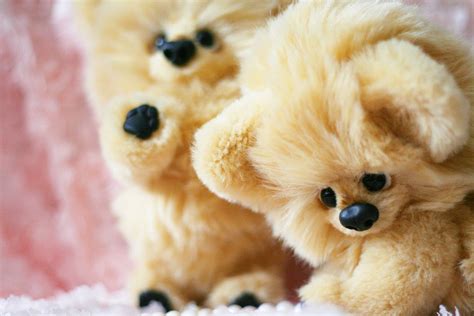 Design of pomeranian dog toy 2012 on Behance