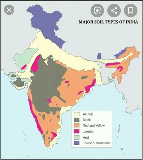 On The Outline Political Map Of India Locate And Label The Major Soil