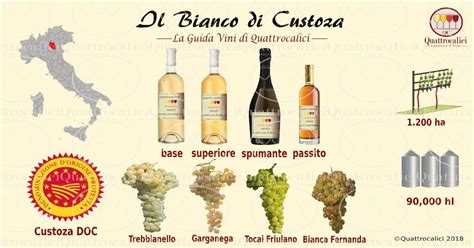 Bianco Di Custoza Quattrocalici La Guida Vini Guida Dei Vini