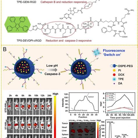 A Schematic Representation Of The Multiple Stimuliresponsive Imaging