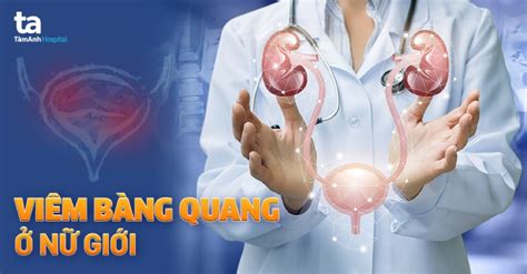 Viêm Bàng Quang Cấp Nguyên Nhân Triệu Chứng Chẩn đoán Phòng Ngừa