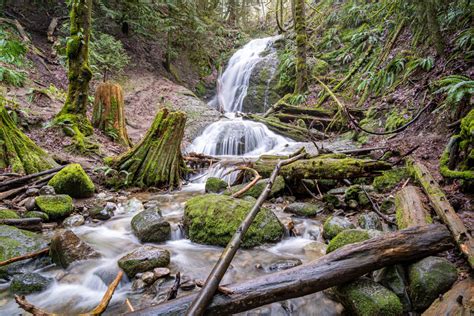 The 20 Best Hikes Near Seattle A Complete Hiking Guide