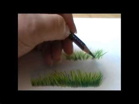 Drawing Grass Colored Pencil - Drawing Lessons Drawing Grass And Weeds ...