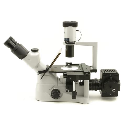 Optika Microscopio Invertido Xds Fl Inverted Trinocular Fluorescence