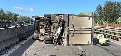 Incidente Sulla 16 Bis Camion Si Ribalta Nel Tratto Tra Bisceglie E