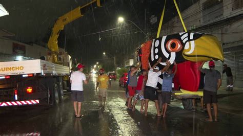 V Deo Estrutura Do Galo Gigante Levada Para A Ponte Duarte Coelho