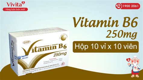 Thuốc Bổ Sung Vitamin B6 250mg Mekophar Hộp 100 Viên Vivita