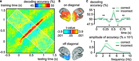 Generalization Over Time And Outcome Of The Task Decoding MVPA Signal