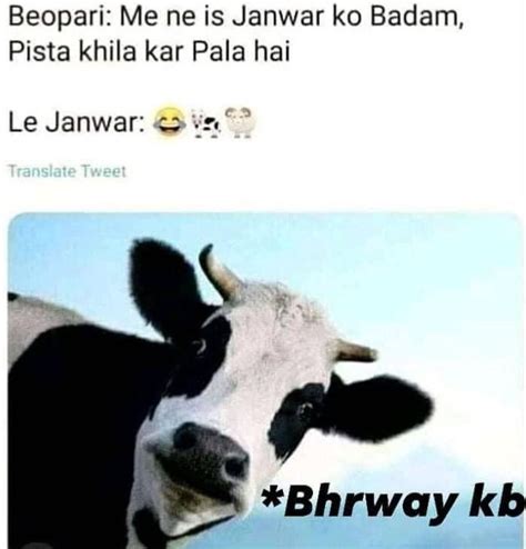 Funny Bakra Eid Memes And Jokes For Eid Ul Adha 2020 Showbiz Hut