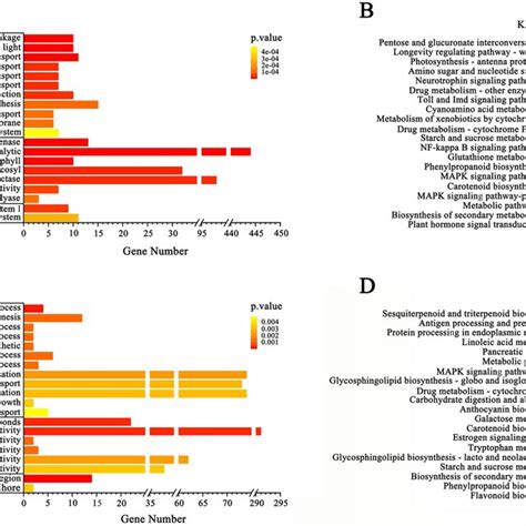 Validation Of The Rna Seq Results Using Qrt Pcr To Analyze The