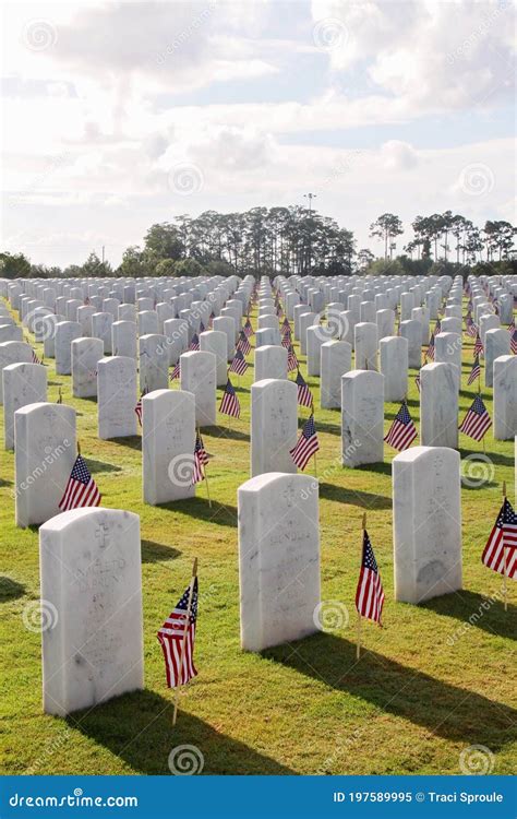 Memorial Day Flags Lined Up At Veterans Cemetary Editorial Image