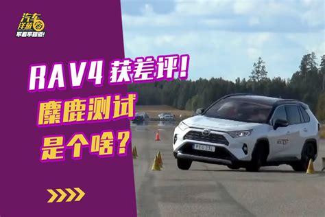 外媒差评的全新rav4到底怎么了？麋鹿测试能说明啥？凤凰网