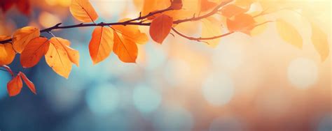 Indian Summer Images Browse 48715 Stock Photos Vectors And Video