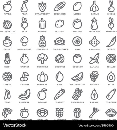 fruit  vegetable outline set royalty  vector image