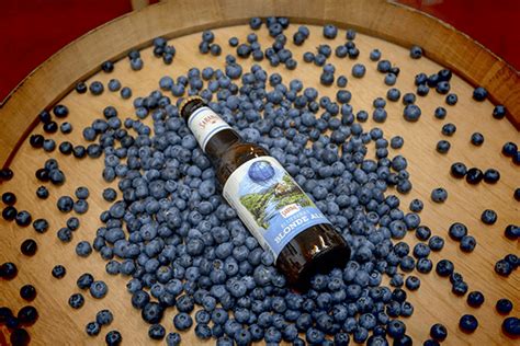 Saranac Blueberry Blonde Is Back At These Locations Decrescente