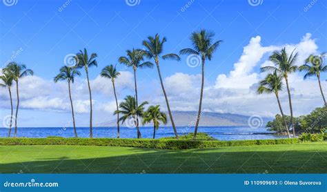 Wailea Makena Beach in Maui, Hawaii, USA Stock Image - Image of luxury ...