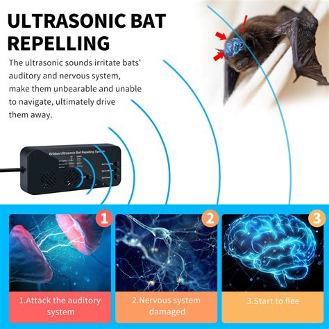 Briidea Ultrasonic Bat Repeller System Bat Away System Demands Bats Briidea