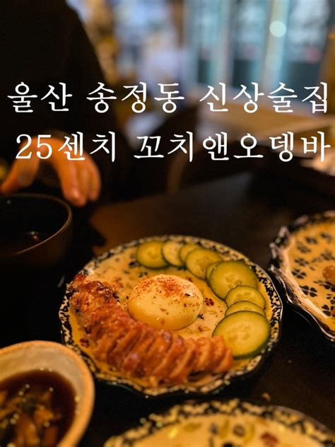 울산송정동신상술집 다양한안주맛집 저녁모임추천 25센치꼬치앤오뎅바 네이버 블로그