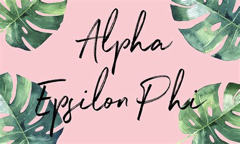 Alpha Epsilon Phi Collection – SororityShop