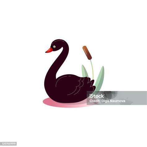 angsa hitam lucu  amukan ilustrasi raster  gaya kartun datar