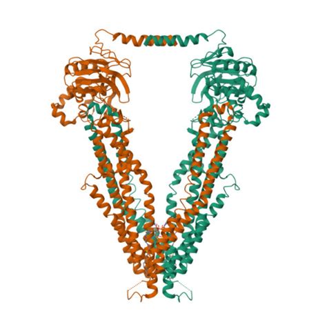 RCSB PDB 7SHN Cryo EM Structure Of Oleoyl CoA Bound Human