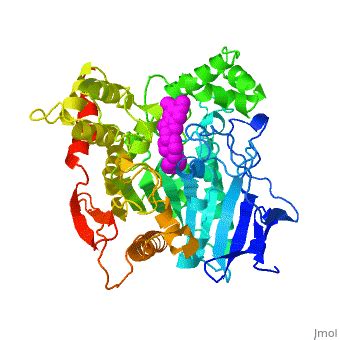 Aricept Complexed With Acetylcholinesterase Russian Proteopedia