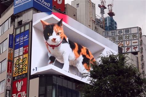 え画面から飛び出してる 新宿駅前に登場した巨大猫の映像に注目 MoguLive