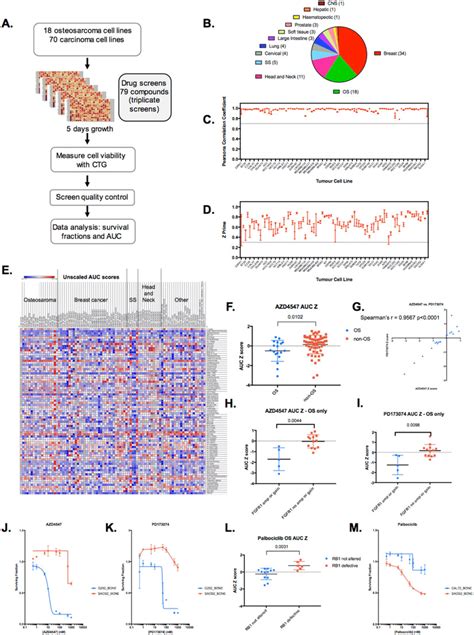 Drug Screening Overview A Schematic Of High Throughput Small