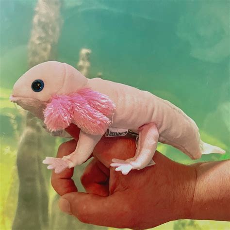 Axolotl Finger Puppet Folkmanis Atelier Yuwa Ciao Jp