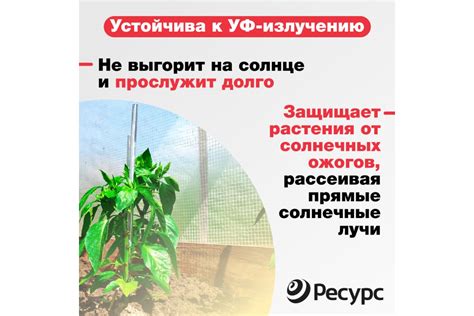 Пленка армированная (200 г/м2, 2х10 м) Ресурс 18360 - выгодная цена ...