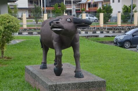 The Story Behind Serian Towns Water Buffalo Statue With Unique Facial