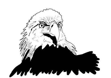 Eagle Outline Vector Images (over 10,000)