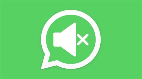 Comment protéger votre vie privée sur WhatsApp en mettant en silence