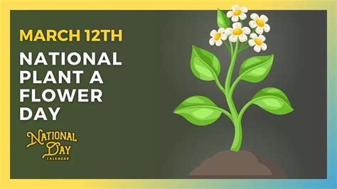 National Plant A Flower Day March 12th National Day Calendar Youtube