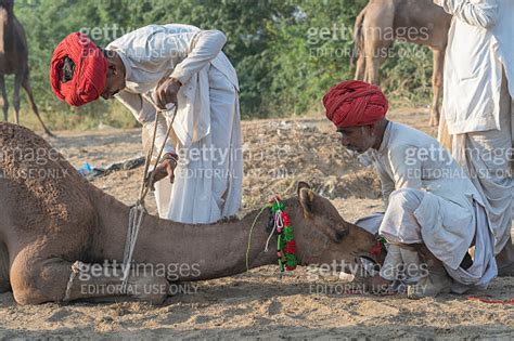 Indian Man In The Desert Thar During Pushkar Camel Mela Near Holy City