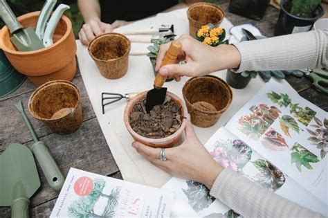 Soilless Potting Mix: What Is It and Why Is It Important? - Backyard Boss