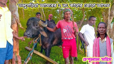 ভলুগড়িয়া আসরের ২ নং কাড়ার জোড়া আগত Beautyofpurulia792 Youtube