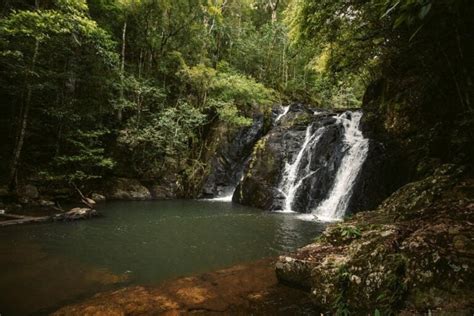 Cairns Waterfalls: 31 Incredible Waterfalls In Cairns & FNQ – We Seek ...