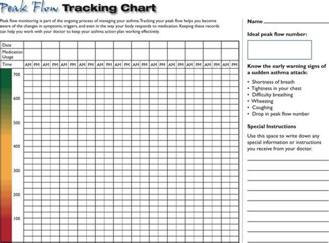 Peak Flow Tracking Chart - Free Download