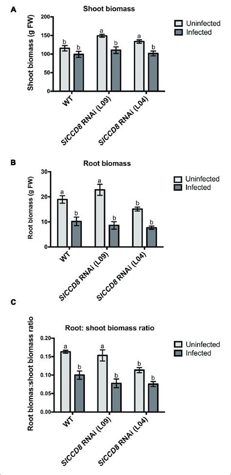 Shoot Biomass A Root Biomass B And Root Shoot Biomass Ratio C