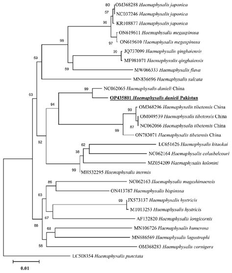 Maximum Likelihood Phylogenetic Analysis Of Haemaphysalis Danieli Based