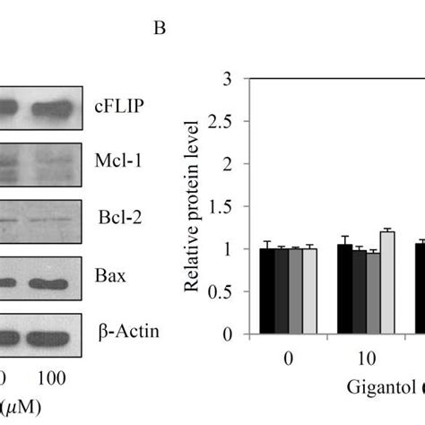 Gigantol Mediates Lung Cancer Apoptosis Via Mitochondrial Dependent