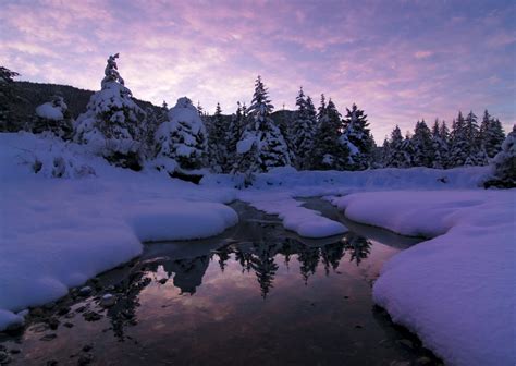 Alaska Magazine | Juneau, Alaska: Winter Like a Local