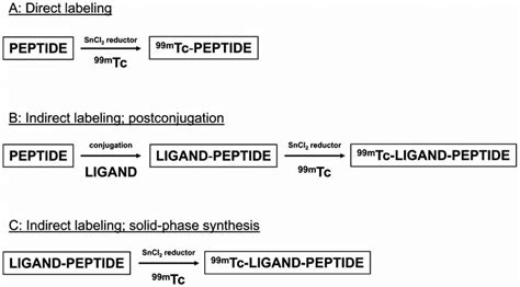Schematic View Of Three Methods Used For Labeling AMPs With 99m Tc