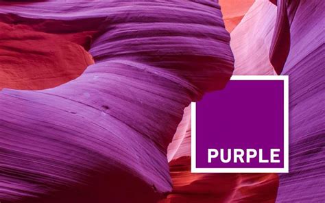 What Does The Color Purple Mean The Meaning Of Color